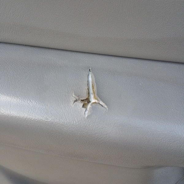 Leather & Panel Repair for Vehicles | Mr. Perfect Customs